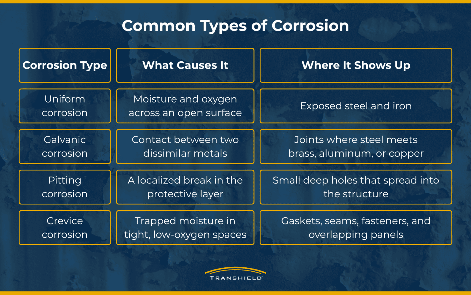 Common Types of Corrosion Infographic